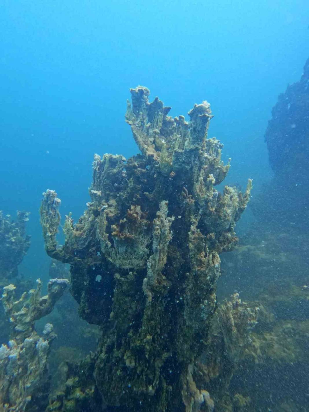 Van Gölü’nde dev keşif! Bilinenlerin en büyüğü: 80 metrelik mikrobiyalit ortaya çıktı 4
